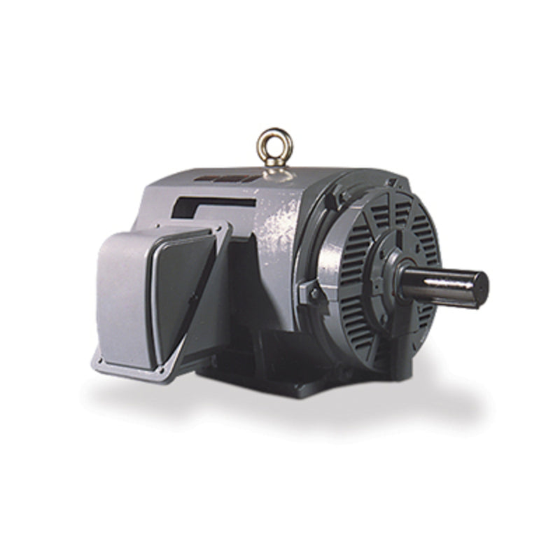 TECO DHP0406G General Purpose Electric Motor