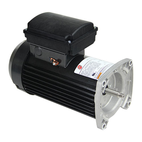 US-Nidec ETE661 Pool and Spa Electric Motor