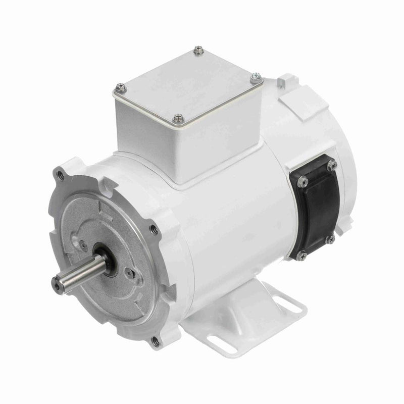 Marathon Z630 White Epoxy Washdown Electric Motor