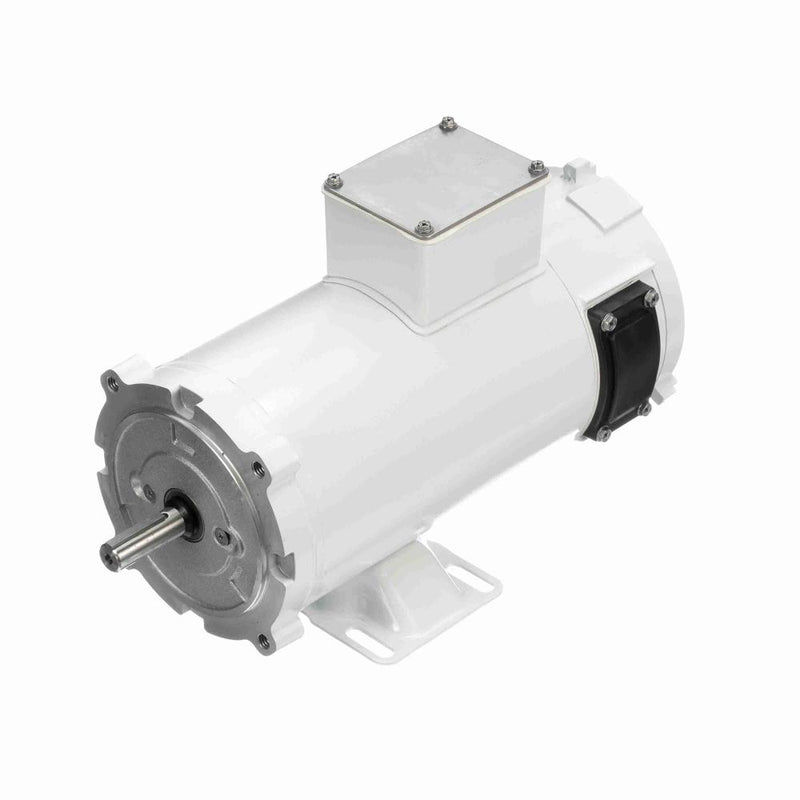 Marathon Z637 White Epoxy Washdown Electric Motor