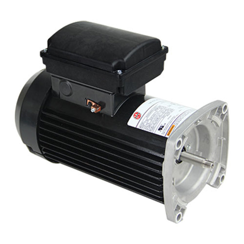 US-Nidec TEQ125 Pool and Spa Electric Motor